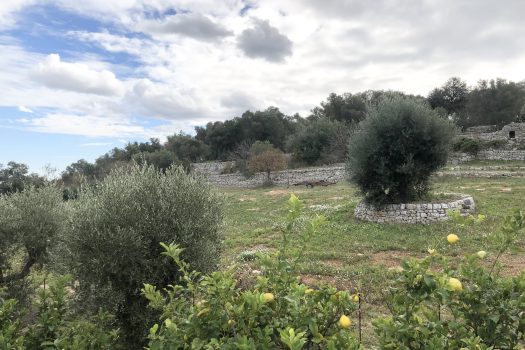 Casa indipendente in vendita in Contrada Mozzo – Monopoli