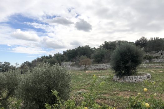 Casa indipendente in vendita in Contrada Mozzo – Monopoli