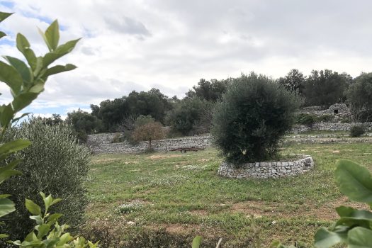 Casa indipendente in vendita in Contrada Mozzo – Monopoli