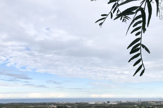 Casa indipendente in vendita in Contrada Mozzo – Monopoli