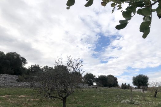 Casa indipendente in vendita in Contrada Mozzo – Monopoli