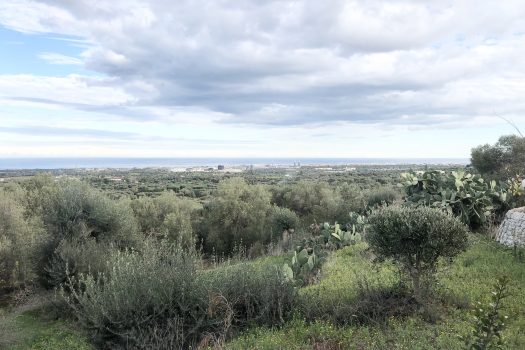 Casa indipendente in vendita in Contrada Mozzo – Monopoli