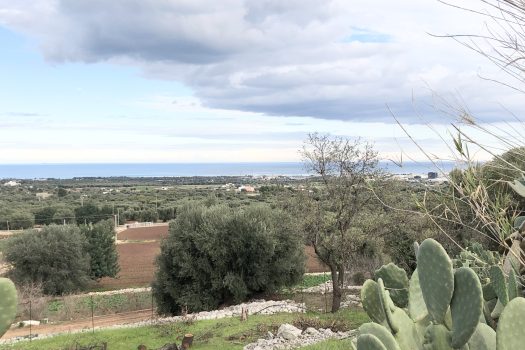 Casa indipendente in vendita in Contrada Mozzo – Monopoli