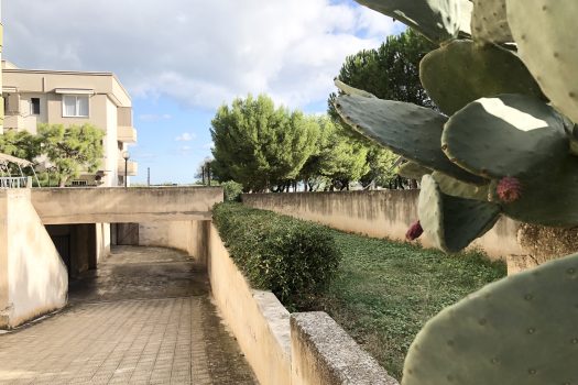 Locale via Ludovico Ariosto