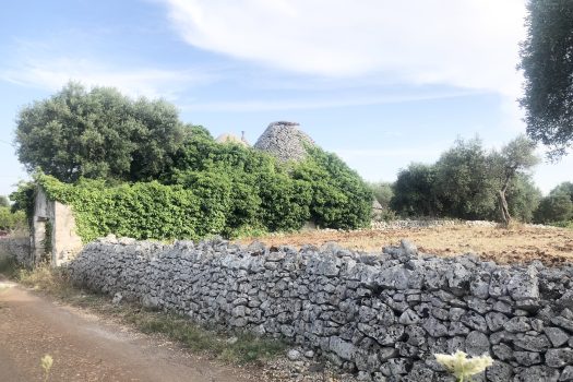 Contrada Zingarello -Monopoli