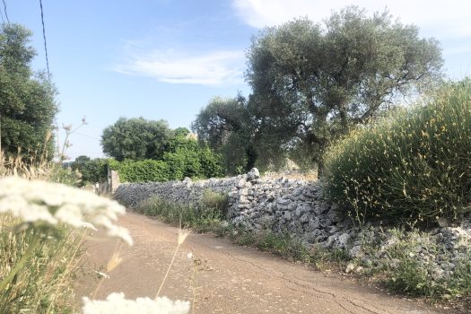 Contrada Zingarello -Monopoli
