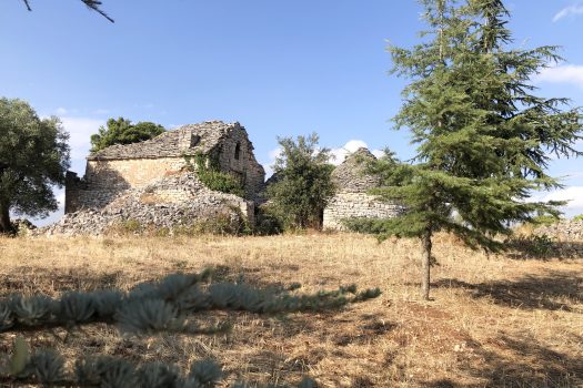 In vendita: Masseria Cazzuddo (o “Cazzoud”) – Alberobello
