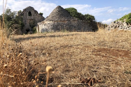 In vendita: Masseria Cazzuddo (o “Cazzoud”) – Alberobello