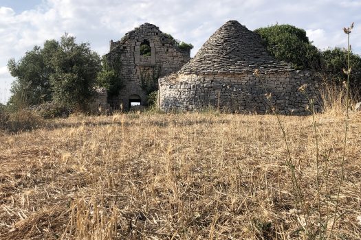 In vendita: Masseria Cazzuddo (o “Cazzoud”) – Alberobello