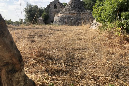 In vendita: Masseria Cazzuddo (o “Cazzoud”) – Alberobello