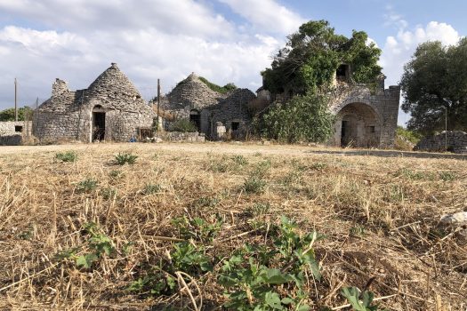 In vendita: Masseria Cazzuddo (o “Cazzoud”) – Alberobello
