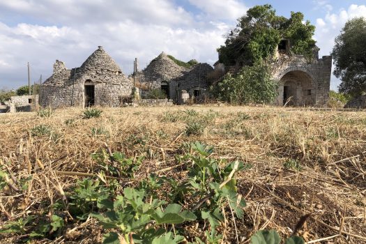 In vendita: Masseria Cazzuddo (o “Cazzoud”) – Alberobello