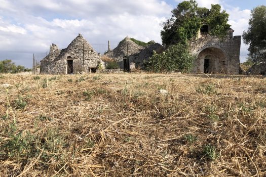 In vendita: Masseria Cazzuddo (o “Cazzoud”) – Alberobello