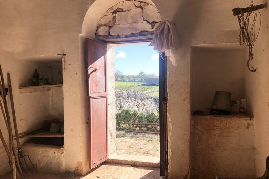 Trullo con terreno tra Alberobello e Noci