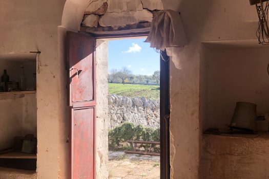 Trullo con terreno tra Alberobello e Noci