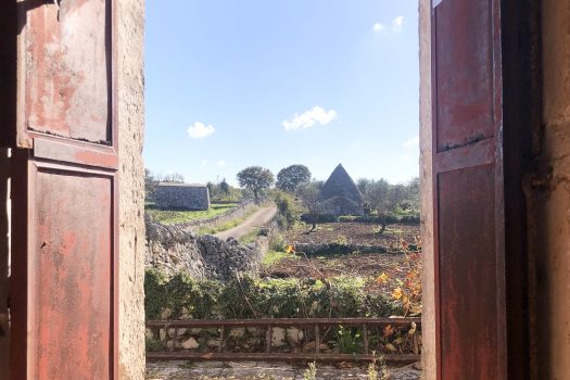 Trullo con terreno tra Alberobello e Noci