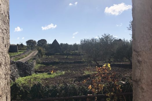 Trullo con terreno tra Alberobello e Noci