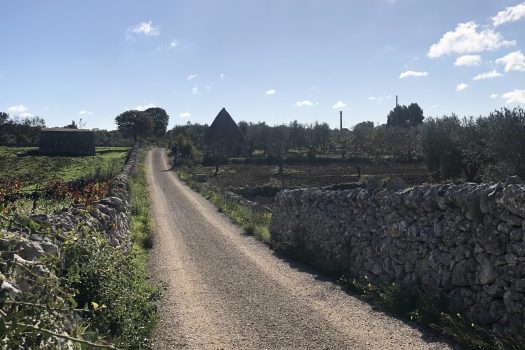 Trullo con terreno tra Alberobello e Noci
