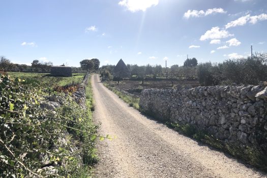Trullo con terreno tra Alberobello e Noci