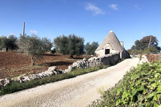 Trullo con terreno tra Alberobello e Noci