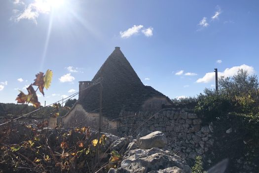 Trullo con terreno tra Alberobello e Noci