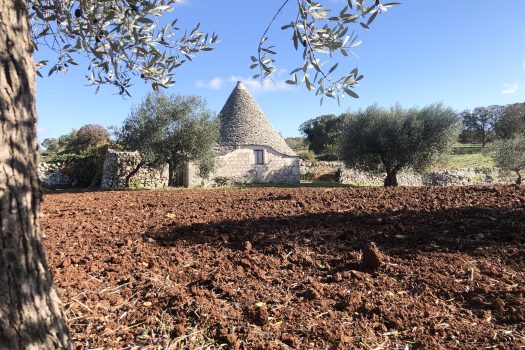 Trullo con terreno tra Alberobello e Noci