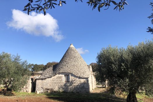 Trullo con terreno tra Alberobello e Noci