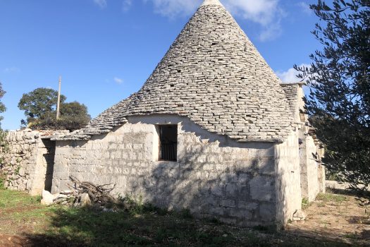 Trullo con terreno tra Alberobello e Noci