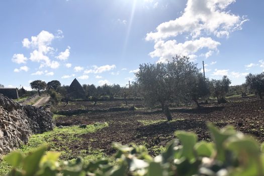 Trullo con terreno tra Alberobello e Noci