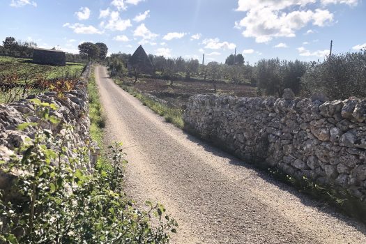 Trullo con terreno tra Alberobello e Noci