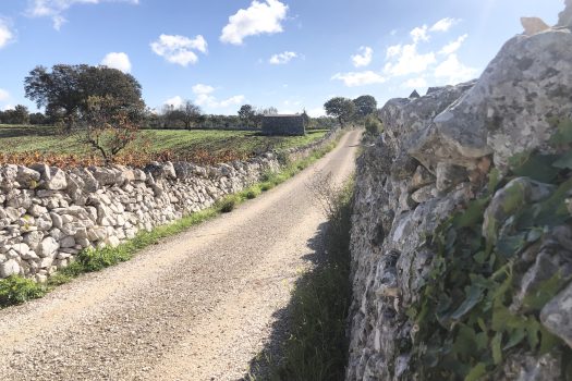Trullo con terreno tra Alberobello e Noci