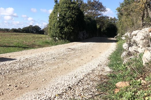 Trullo con terreno tra Alberobello e Noci