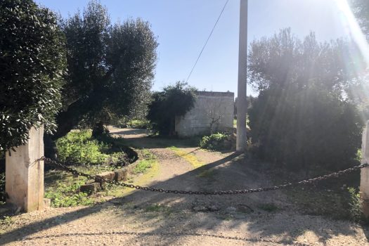 Terreno di 14.089 mq – Contrada Chianchizza, Monopoli