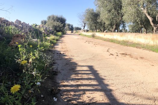 Terreno di 14.089 mq – Contrada Chianchizza, Monopoli
