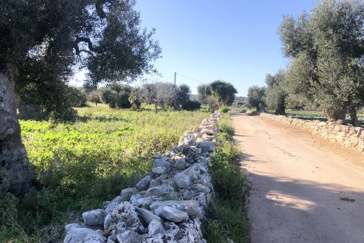 Terreno di 14.089 mq – Contrada Chianchizza, Monopoli