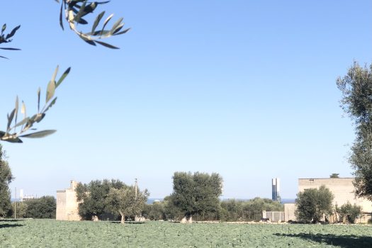 Terreno di 14.089 mq – Contrada Chianchizza, Monopoli