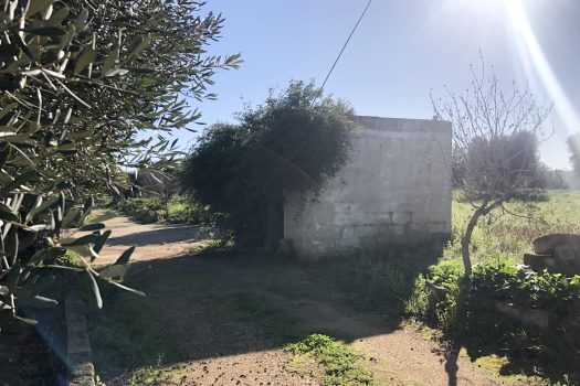 Terreno di 14.089 mq – Contrada Chianchizza, Monopoli