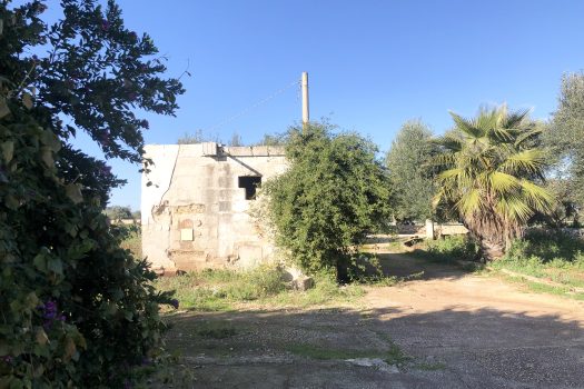 Terreno di 14.089 mq – Contrada Chianchizza, Monopoli