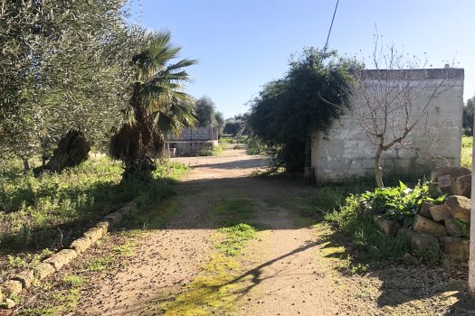 Terreno di 14.089 mq – Contrada Chianchizza, Monopoli