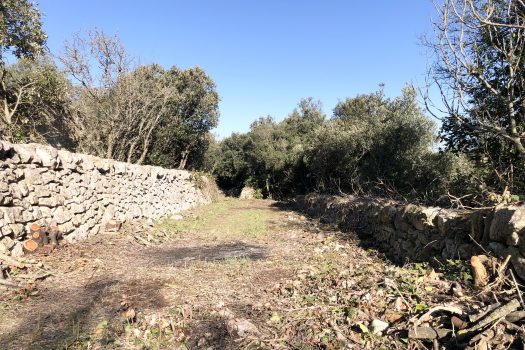 Complesso di trulli con ampio terreno a pochi minuti da Alberobello