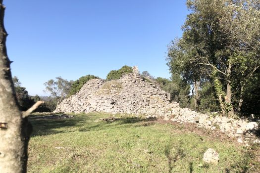 Complesso di trulli con ampio terreno a pochi minuti da Alberobello