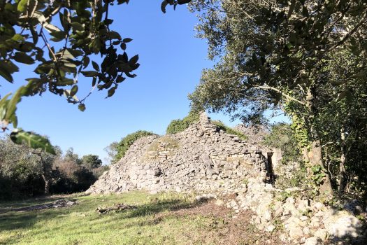 Complesso di trulli con ampio terreno a pochi minuti da Alberobello