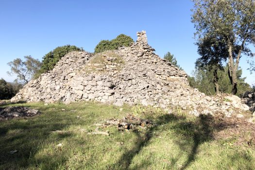 Complesso di trulli con ampio terreno a pochi minuti da Alberobello