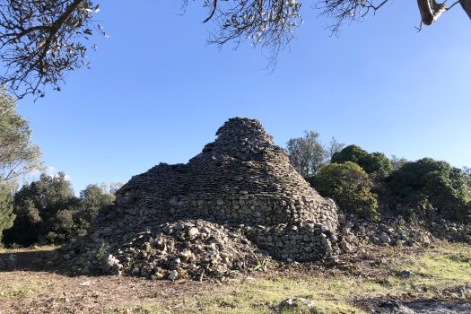 Complesso di trulli con ampio terreno a pochi minuti da Alberobello