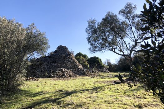 Complesso di trulli con ampio terreno a pochi minuti da Alberobello