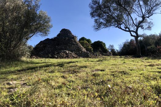Complesso di trulli con ampio terreno a pochi minuti da Alberobello