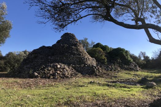 Complesso di trulli con ampio terreno a pochi minuti da Alberobello