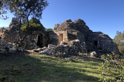 Complesso di trulli con ampio terreno a pochi minuti da Alberobello