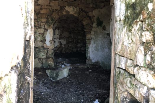 Complesso di trulli con ampio terreno a pochi minuti da Alberobello