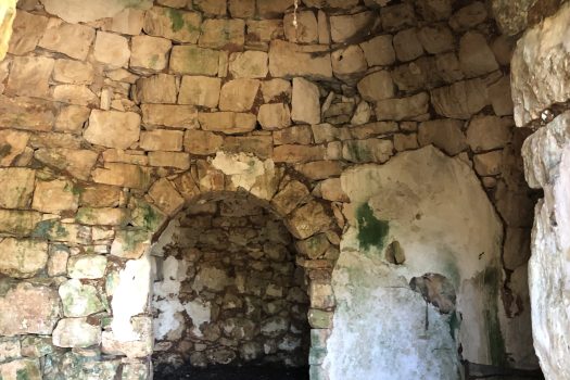 Complesso di trulli con ampio terreno a pochi minuti da Alberobello